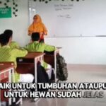 Hargai Ilmu dengan Rasa Malu: Konten Ramadan Ke-9 Garapan Kelas VII A