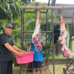 Tumbuhkan Jiwa Solidaritas, MTsN 10 Sleman Gelar Latihan Kurban