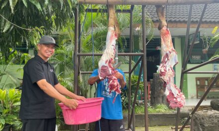 Tumbuhkan Jiwa Solidaritas, MTsN 10 Sleman Gelar Latihan Kurban